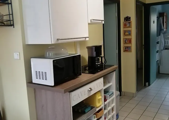 Maison T2 Proche Foret Et Plage A La Tranche-Sur-Mer - Fr-1-22-243 * La Tranche-sur-Mer